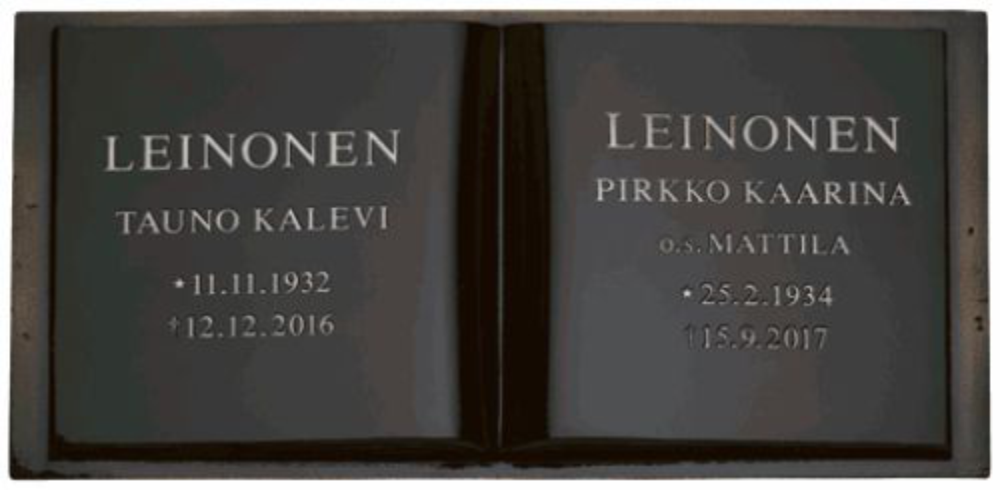 Kaiverrettu kirja n:o 2